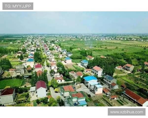 于根伟谈新季双锋布局规划蓝图